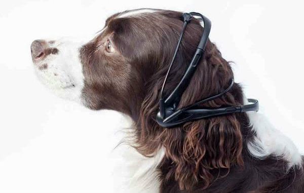 “No More Woof” – by Scandinavian Research Lab