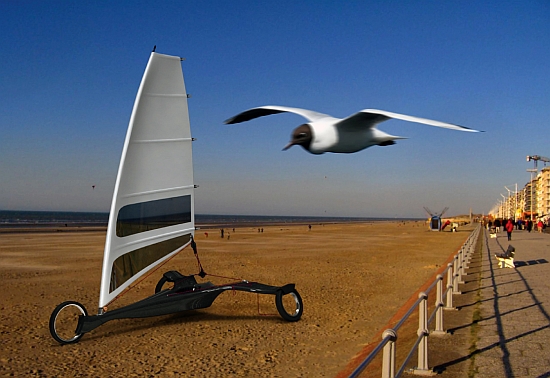 albatros 1