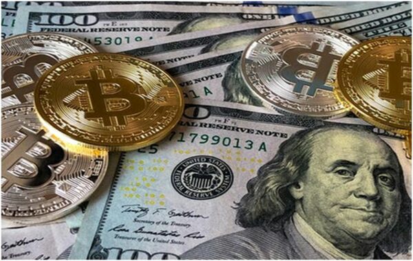 Crypto vs. Stock