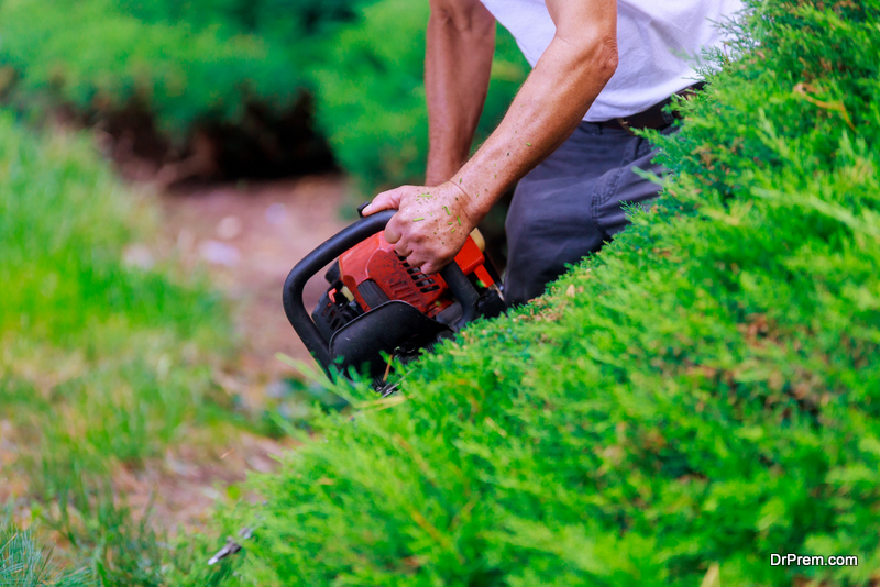 Landscaping-ideas