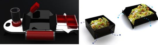 lunch box tray 5