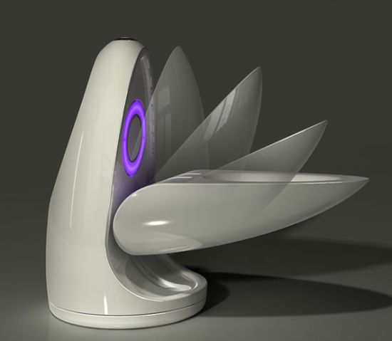 self cleaning toilet 1